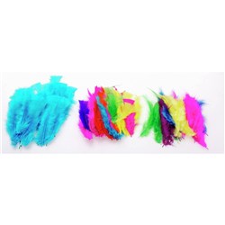 Jasart Feathers Small Assorted Pack of 50